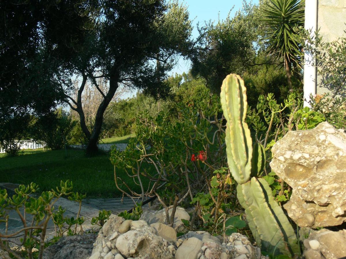 Villa Quietude Agios Stefanos Avliotes  Kamer foto