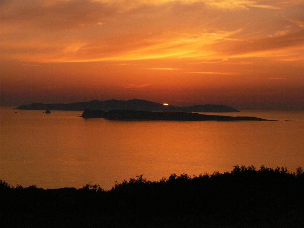 Villa Quietude Agios Stefanos Avliotes  Buitenkant foto